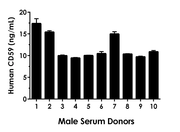 Sandwich ELISA - Human CD59 ELISA Kit (AB263893)