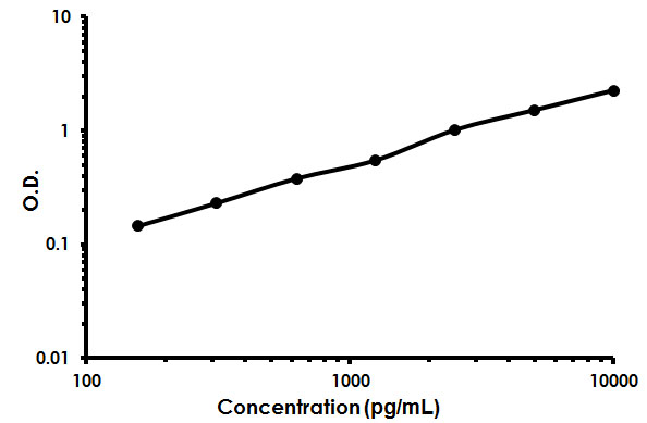 Sandwich ELISA - Human CD5L / CT-2 ELISA Kit (AB213760)