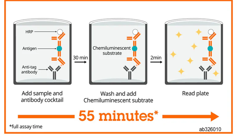 Sandwich ELISA - Human CD66b ELISA Kit, Chemiluminescent (AB326010)
