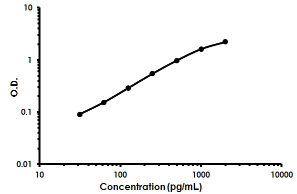 Sandwich ELISA - Human CD73 ELISA Kit (NT5E) (AB213761)