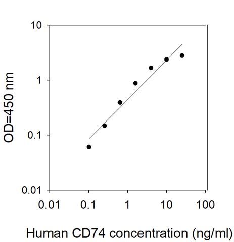 Sandwich ELISA - Human CD74 ELISA Kit (AB313527), expandable thumbnail