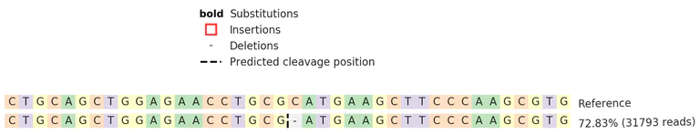 Next Generation Sequencing - Human CD74 knockout Raji cell line (AB273876)