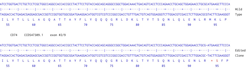 Next Generation Sequencing - Human CD74 knockout Raji cell line (AB273876), expandable thumbnail