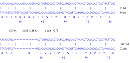 Next Generation Sequencing - Human CD791 knockout Raji cell line (AB274911)