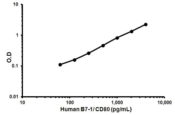 Sandwich ELISA - Human CD80 ELISA Kit (AB171342)