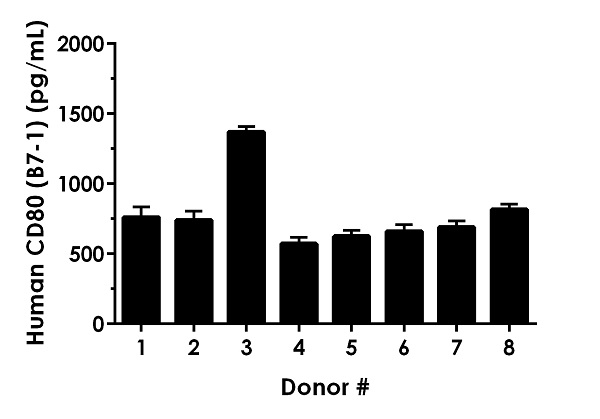 Sandwich ELISA - Human CD80 ELISA Kit (B7-1) (AB256392)
