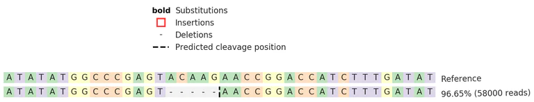 Next Generation Sequencing - Human CD80 knockout Raji cell lysate (AB273827)