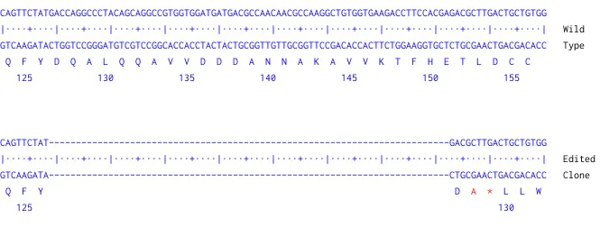 Next Generation Sequencing - Human CD81 knockout THP1 cell line (AB290284)