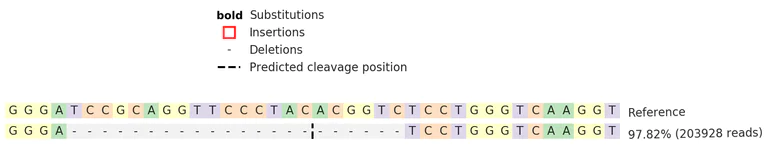 Next Generation Sequencing - Human CD83 knockout Raji cell line (AB277183)