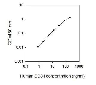 ELISA - Human CD84 ELISA Kit (AB277433)