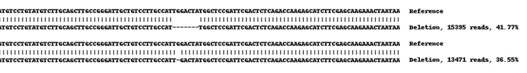 Next Generation Sequencing - Human CD9 knockout A549 cell lysate (AB261687)