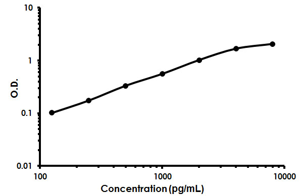 Sandwich ELISA - Human CD97 ELISA Kit (AB213763)