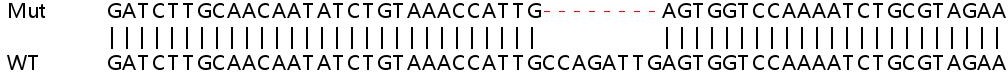 Sanger Sequencing - Human CDC14B knockout HEK-293T cell line (AB266580), expandable thumbnail