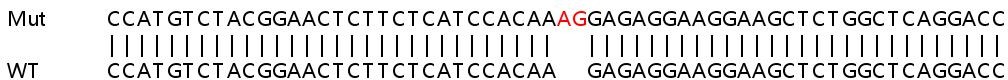 Sanger Sequencing - Human CDC25C knockout HeLa cell lysate (AB257387), expandable thumbnail