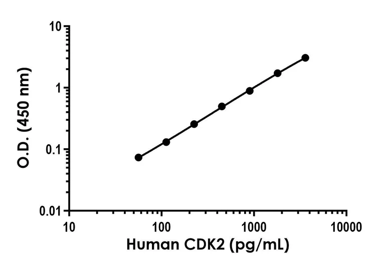 Sandwich ELISA - Human CDK2 ELISA Kit, Chemiluminescent (AB326304)