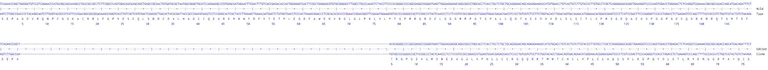 Next Generation Sequencing - Human CDKN1A knockout A549 cell line (AB288213)
