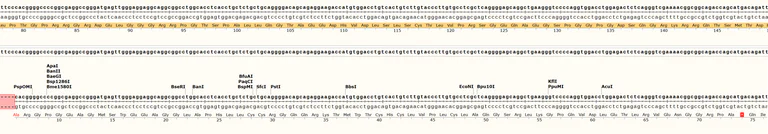 Sanger Sequencing - Human CDKN1A knockout A549 cell line (AB288213)