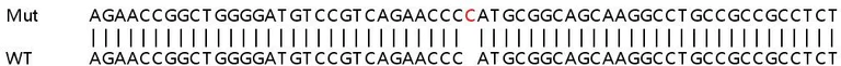 Sanger Sequencing - Human CDKN1A knockout HCT116 cell lysate (AB256870)