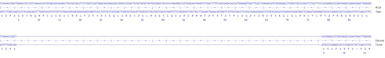 Next Generation Sequencing - Human CDKN1A knockout MCF7 cell line (AB288200)