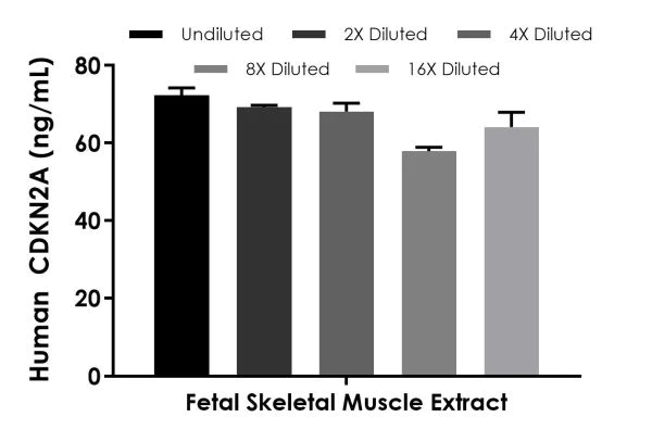 kochani20素子白3C1BS1 ℳℴ𝒸𝒶 on X