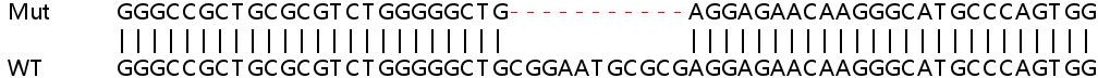 Sanger Sequencing - Human CDKN2B (p15 INK4b) knockout HeLa cell line (AB261761), expandable thumbnail