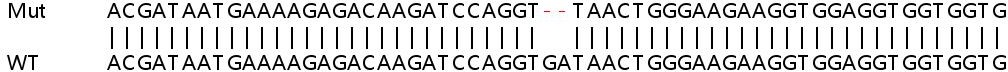Sanger Sequencing - Human CDV3 knockout HEK-293T cell line (AB266466)