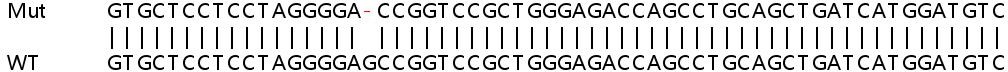 Sanger Sequencing - Human CECR5 knockout HEK-293T cell line (AB266708), expandable thumbnail