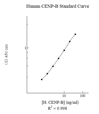 Sandwich ELISA - Human CENP-B ELISA Kit (AB283982)