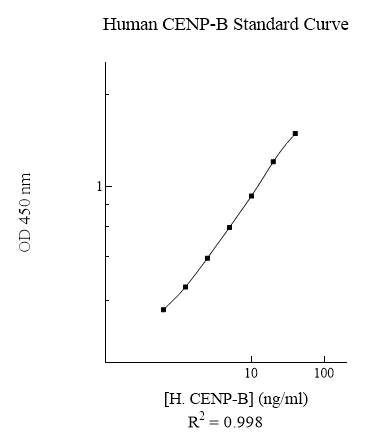 Sandwich ELISA - Human CENP-B ELISA Kit (AB283982)