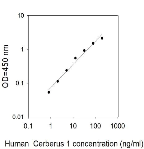 Sandwich ELISA - Human Cer1 ELISA Kit (AB313528)