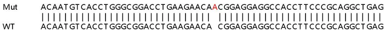 Sanger Sequencing - Human CERS6 (LASS6) knockout HEK-293T cell line (AB265074)