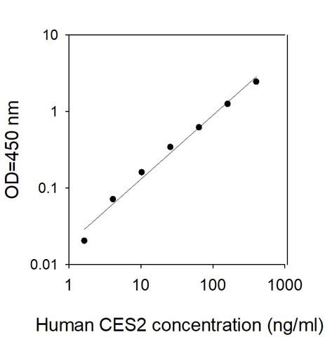 Sandwich ELISA - Human CES2 ELISA Kit (AB313529), expandable thumbnail