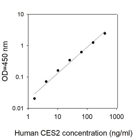 Sandwich ELISA - Human CES2 ELISA Kit (AB313529)
