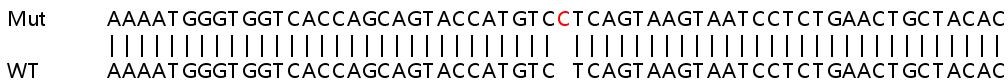 Human CFHR3 (Complement factor H-related protein 3) knockout A549 cell line