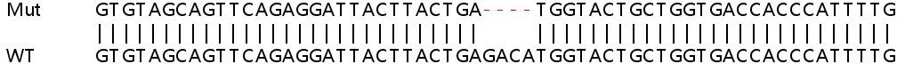 Sanger Sequencing - Human CFHR3 (Complement factor H-related protein 3) knockout A549 cell line (AB267093)