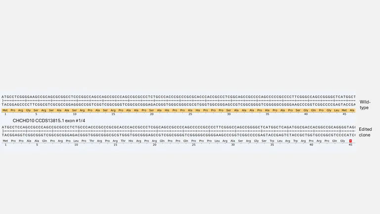 Next Generation Sequencing - Human CHCHD10 knockout A549 cell line (AB326017)