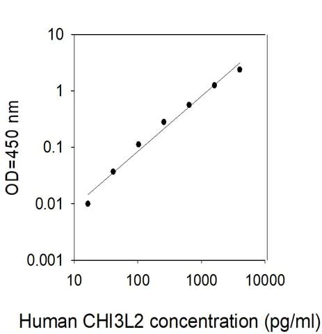 Sandwich ELISA - Human CHI3L2 ELISA Kit (AB313530)