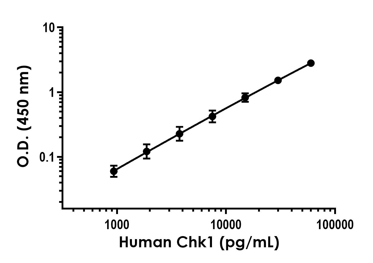 Sandwich ELISA - Human Chk1 ELISA Kit (AB304942)