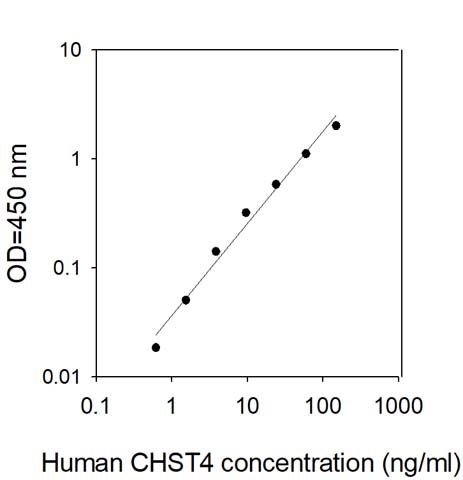Sandwich ELISA - Human CHST4 ELISA Kit (AB313532), expandable thumbnail