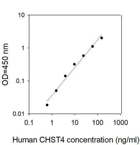 Sandwich ELISA - Human CHST4 ELISA Kit (AB313532)
