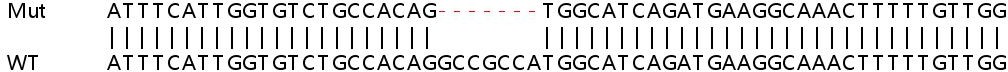 Sanger Sequencing - Human CIRBP (CIRP) knockout HEK-293T cell lysate (AB257252), expandable thumbnail