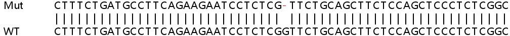Sanger Sequencing - Human CIT knockout HEK-293T cell lysate (AB258818), expandable thumbnail