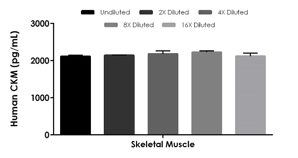Sandwich ELISA - Human CKM ELISA Kit (AB264617)