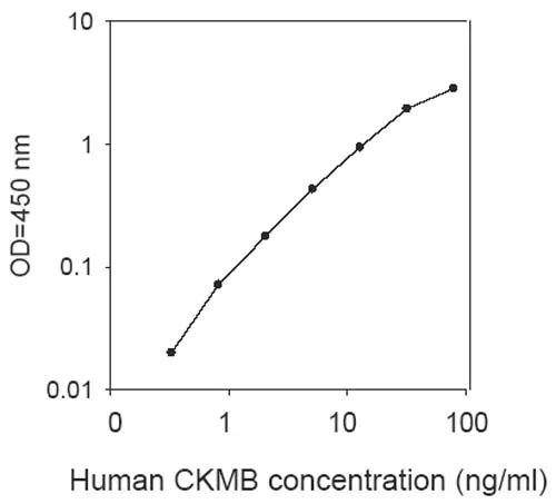 Sandwich ELISA - Human CKMB ELISA Kit (AB193696)