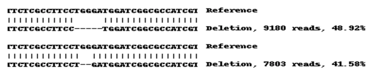 Next Generation Sequencing - Human CLDN1 knockout A-431 cell line (AB261889)