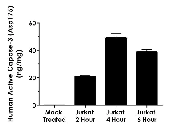 Sandwich ELISA - Human Cleaved Caspase-3 (Asp175) ELISA Kit (AB220655)