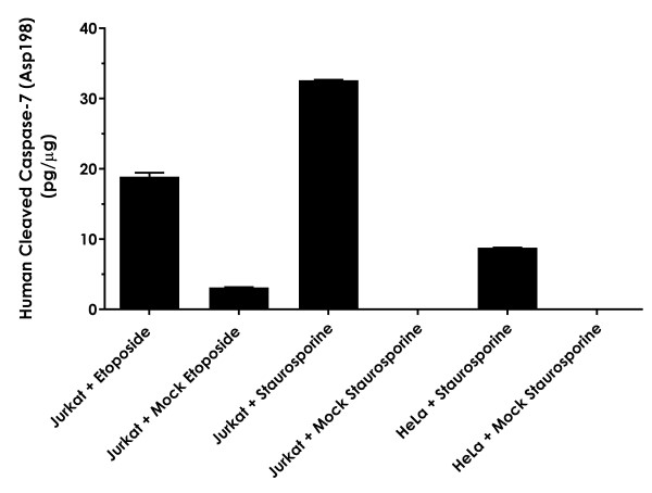 Sandwich ELISA - Human Cleaved Caspase-7 (Asp198) ELISA Kit (AB275900)