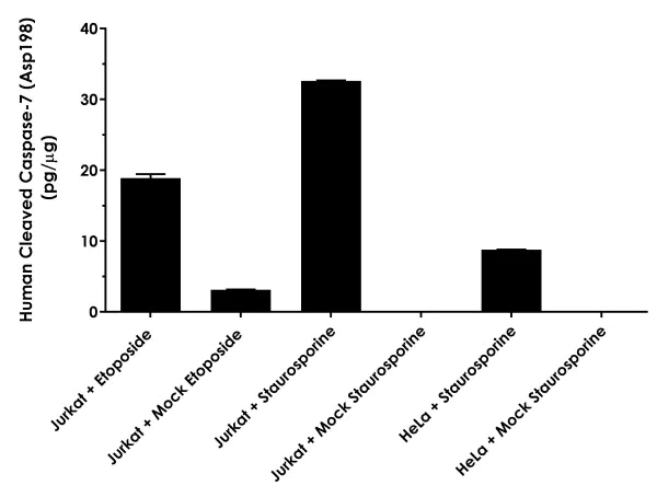 Sandwich ELISA - Human Cleaved Caspase-7 (Asp198) ELISA Kit (AB275900)