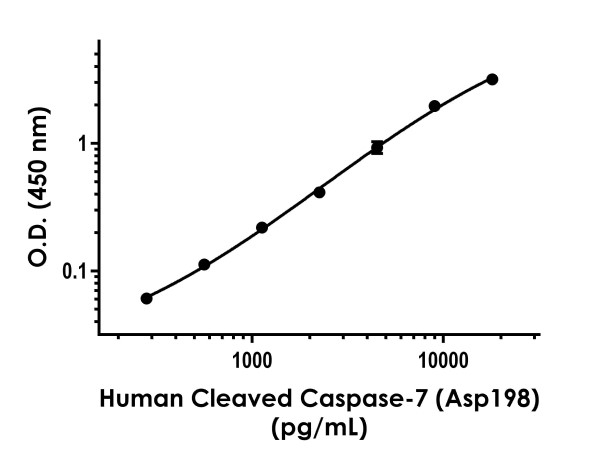 Sandwich ELISA - Human Cleaved Caspase-7 (Asp198) ELISA Kit (AB275900)