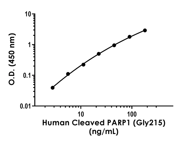 Sandwich ELISA - Human cleaved PARP1 (Gly215) ELISA Kit (AB317545)